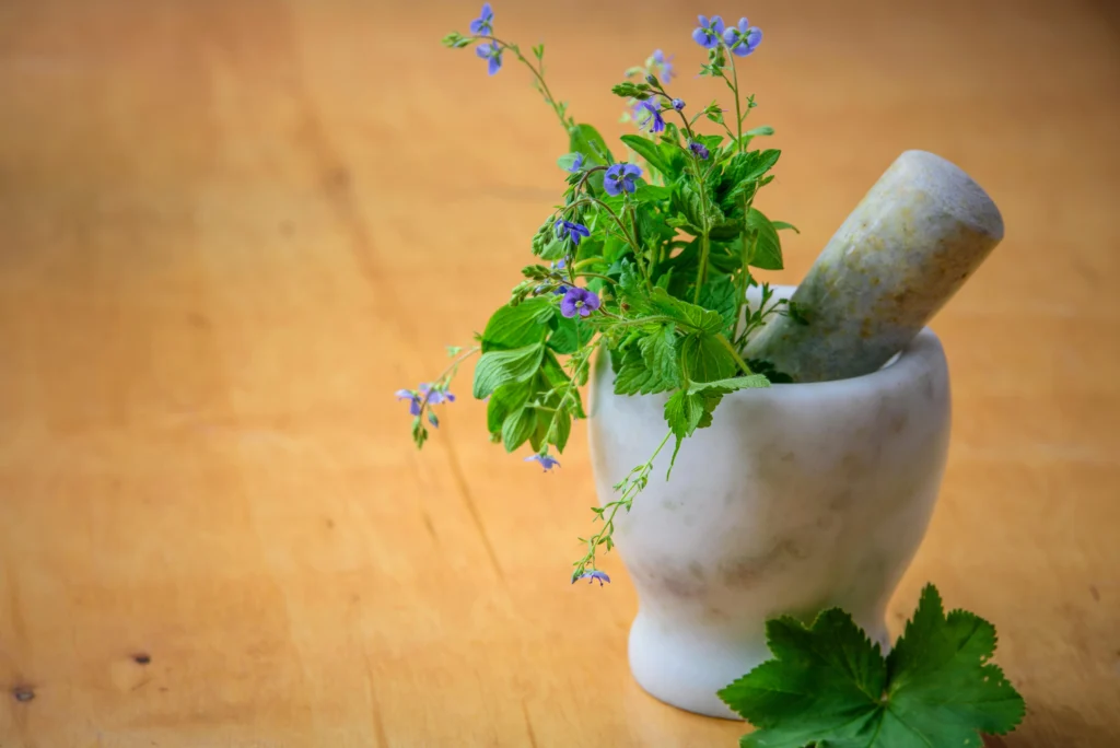 herbs in a bowl 