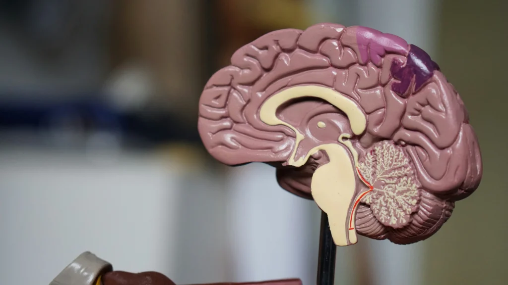 Why Dementia and Dental Health Matter
